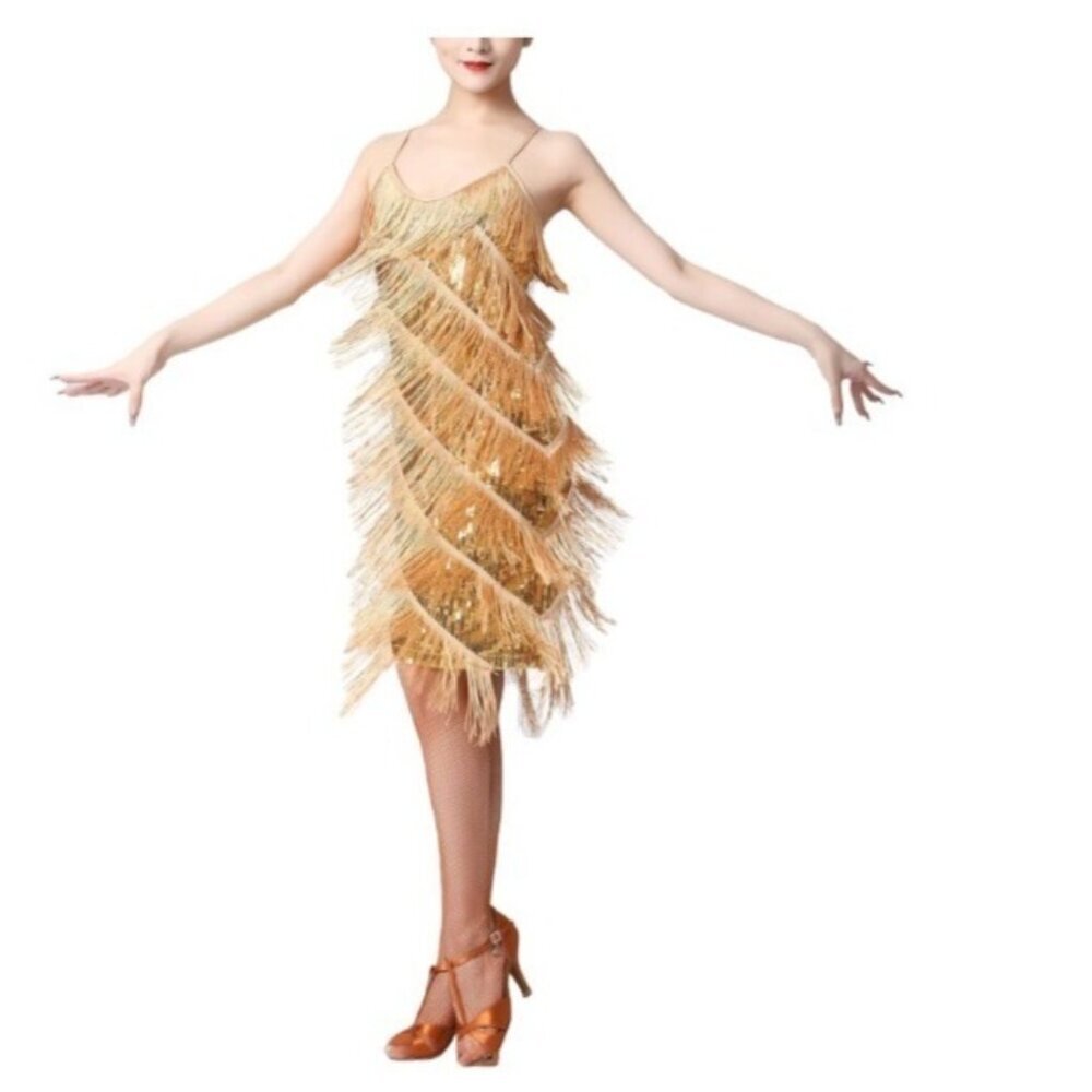 Women Sequins Fringe Dress Flapper Latin Dance Costume Size Medium